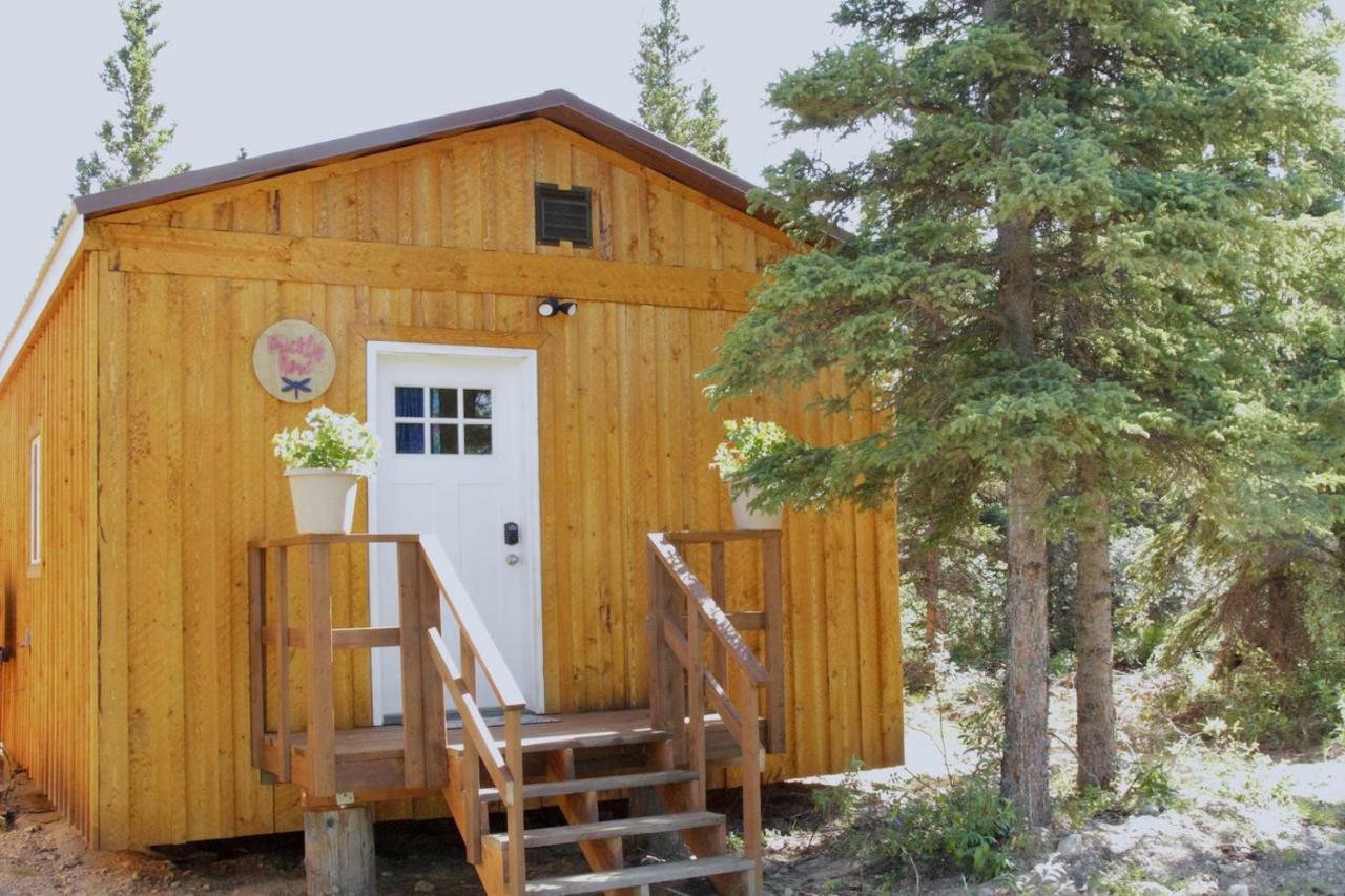 Arctic Dragonfly Inn ヒーリー エクステリア 写真
